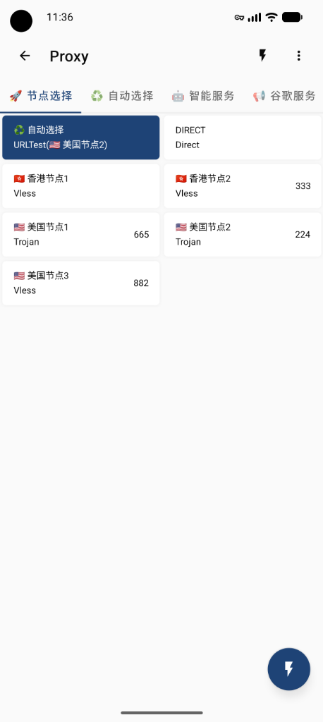 Proxy 代理选择与节点测速界面